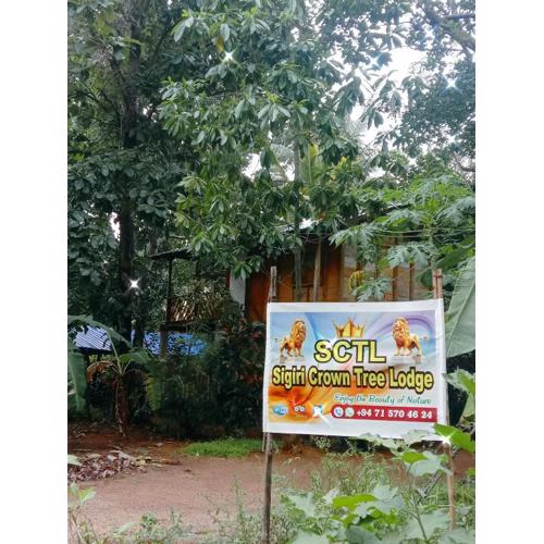 Sigiri Crown Tree Lodge