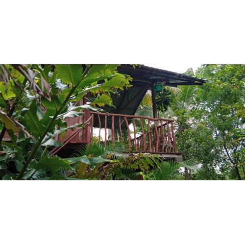 Sigiri Panaromic Tree House