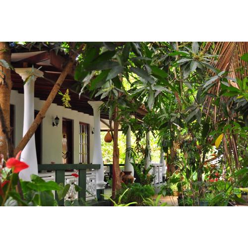 Sigiri Rock Side Home Stay