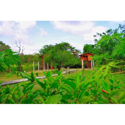 Sigiri Royal Point Tree House