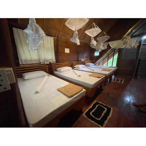 Sigiriya Coconut Shade Hostel