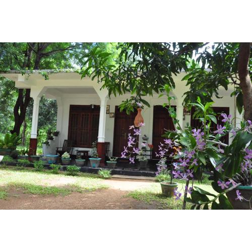 sigiriya flower guest