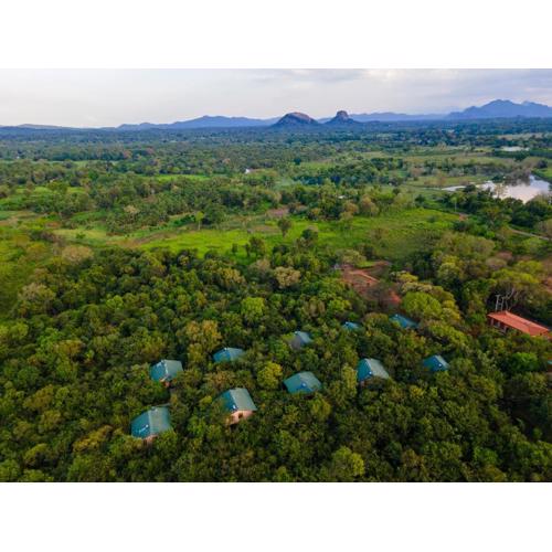 Sigiriya Forest Edge By Marino Leisure