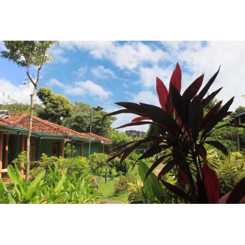 Sigiriya Melrose Villas