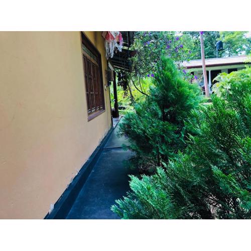 Sigiriya Mirror wall Guest house