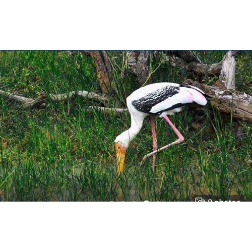 Sigiriya Moon Mirage Villa