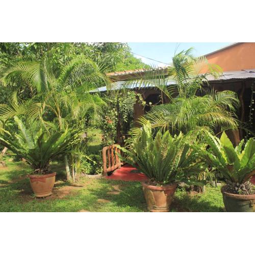 Sigiriya Nature View home Stay