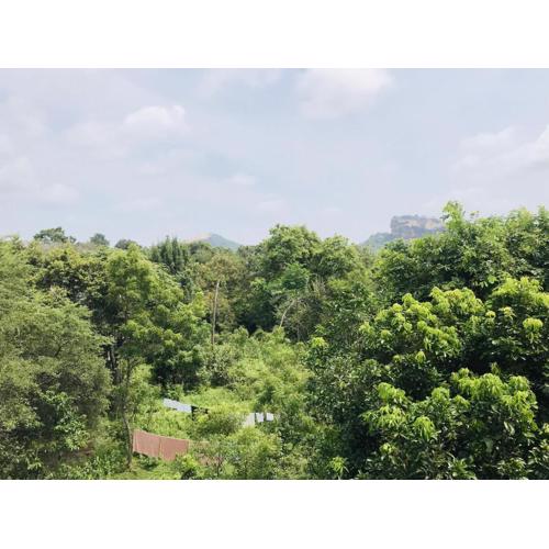 Sigiriya World Hostal