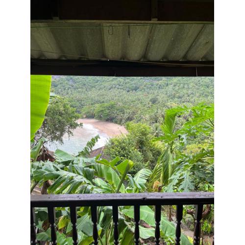 Silver cliff room 12