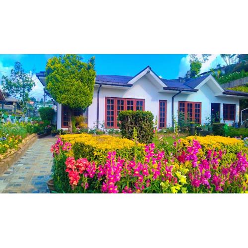 Silver Rose Holiday Home