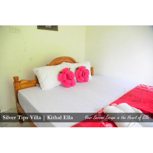 Silver Tips Villa