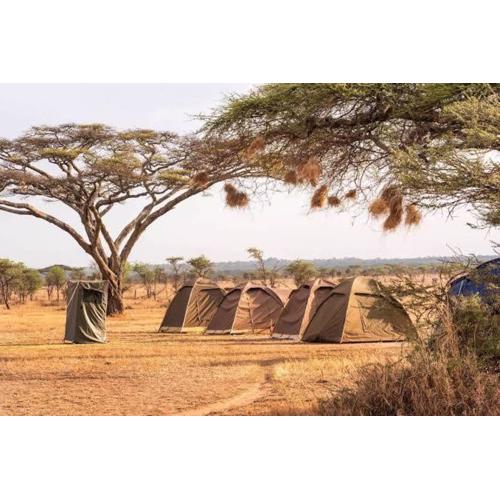 silver travel sand safari