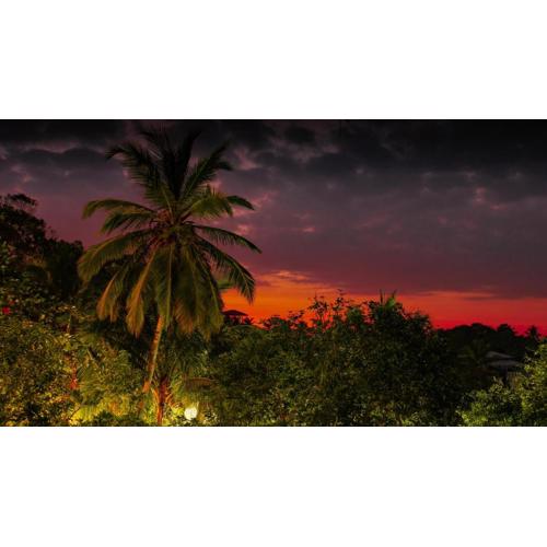 Simon's Lodge Hikkaduwa