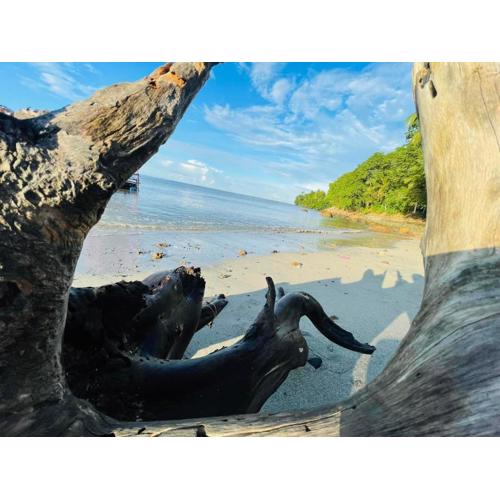 Simple Living Inn on Farm