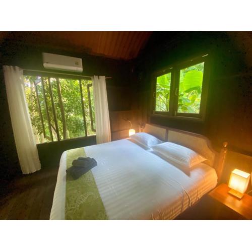 Singing Frogs Jungle Bungalow