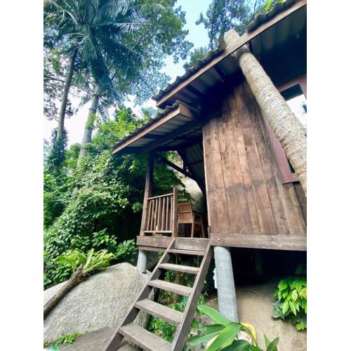 Singing Frogs Jungle Stay