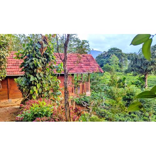 Sinharaja Forest Lodge - Deniyaya