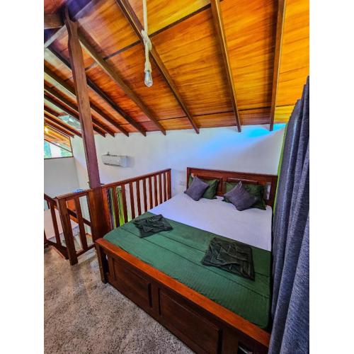 Sinharaja Rainforest Vibe