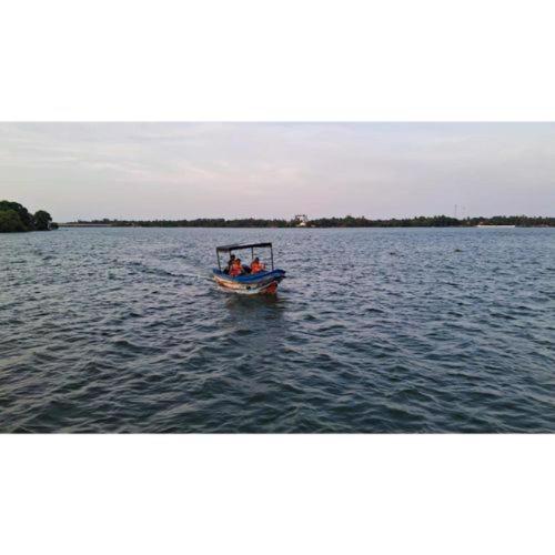 Small Bat Full Package 1