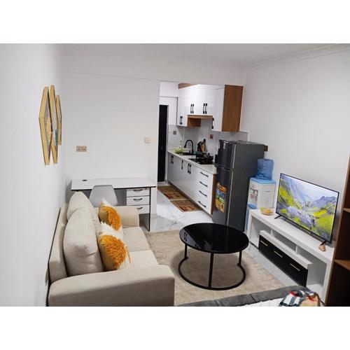 SmartHomes B1309 Studio