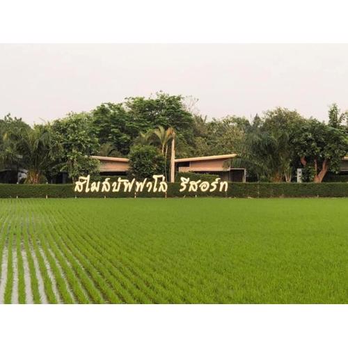 Smile Buffalo Resort สไมล์ รีสอร์ท