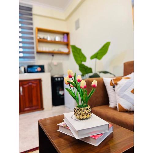 Snow View Kijenge Apartments