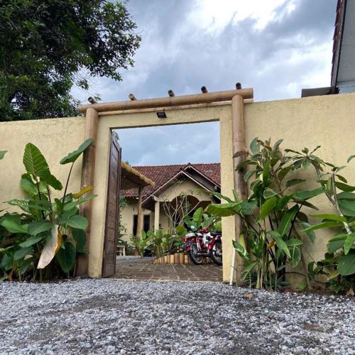 Social Ducks Hostel Borobudur