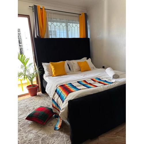 Softlife Home, Classic Studio