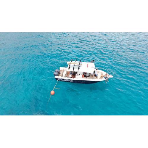 Solid Surf Villa Mentawai