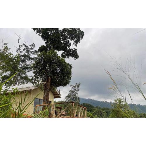 Solitary Cottage Dunhinna