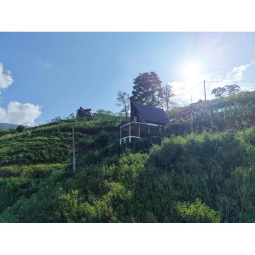 Solitary Green Cabins