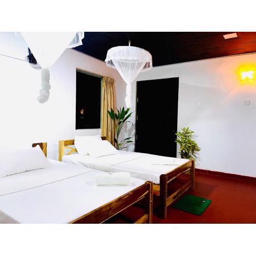 Solo's Shelter Hostel Udawalawa