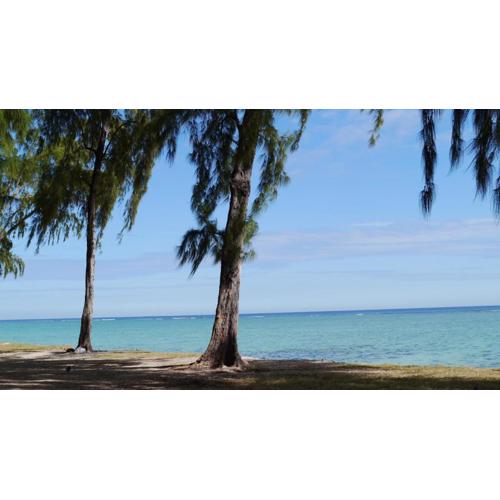 Sonnige Ferienwohnung mit Wifi