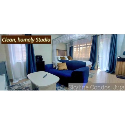 Southside Juja 1 Bedroom