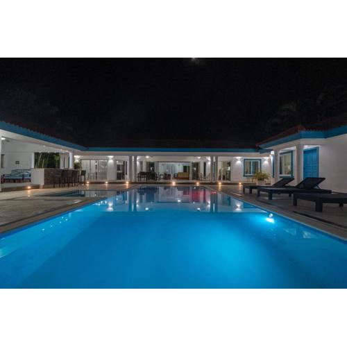 Space Freedom Connection