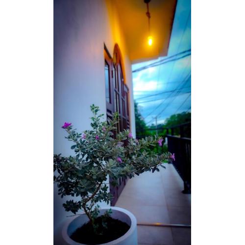 Spacious Entire 1-Bedroom Apartment in Dambulla