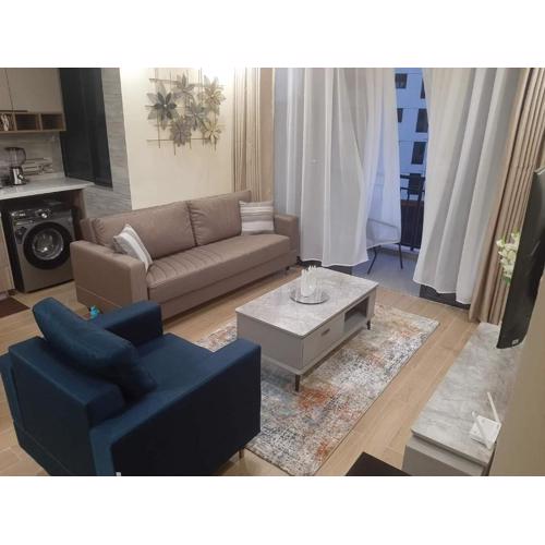 spacious furnished two bedroom apartment with children playground private parking fully equipped gym swimming pool and scenic city views