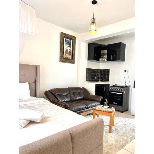 Spacious studio Apt Milimani