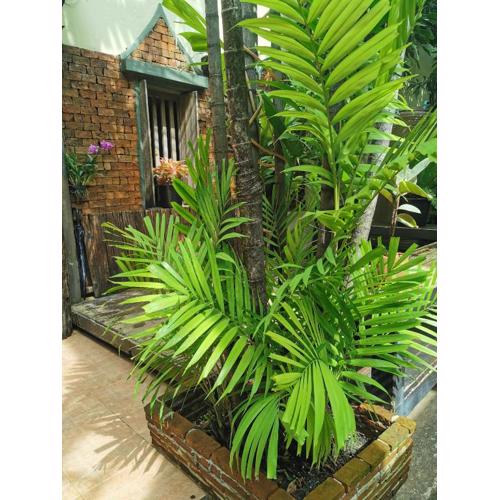 Sri Ayuttaya Guesthouse