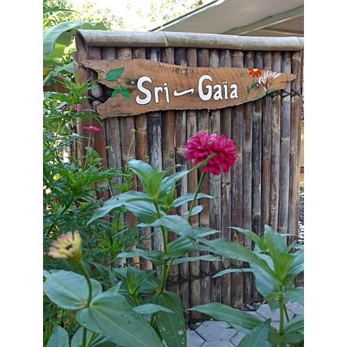 Sri Gaïa Yogyakarta