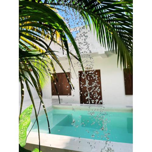 Sri Lanka Surf Villa Domus Graziella