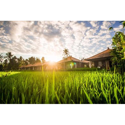 Sri Lestari Banyuatis