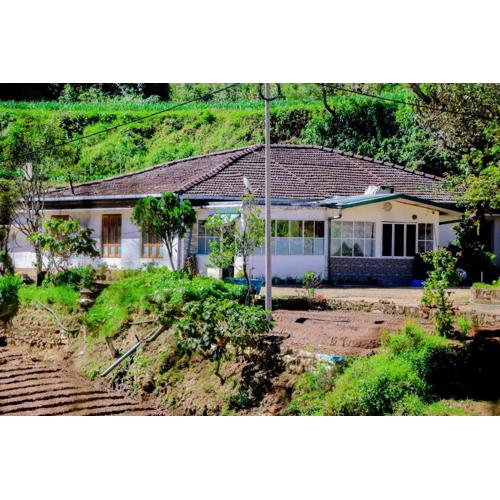 St Elmo Homestay