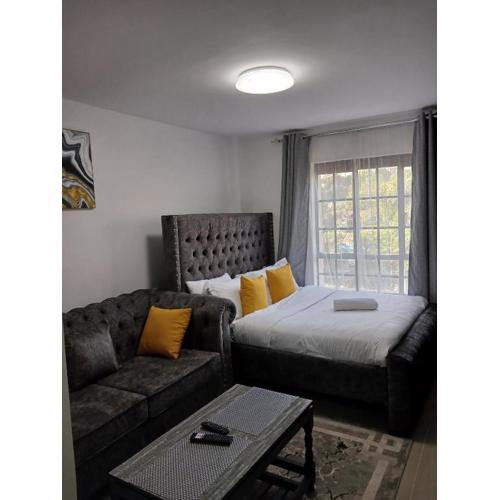 stadeview Studios Nairobi west