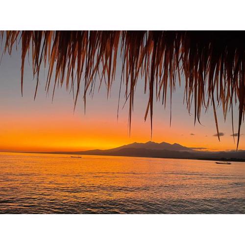 Star Bar and Bungalows