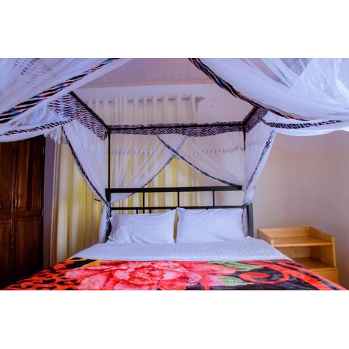 Stay Inn Back Packers