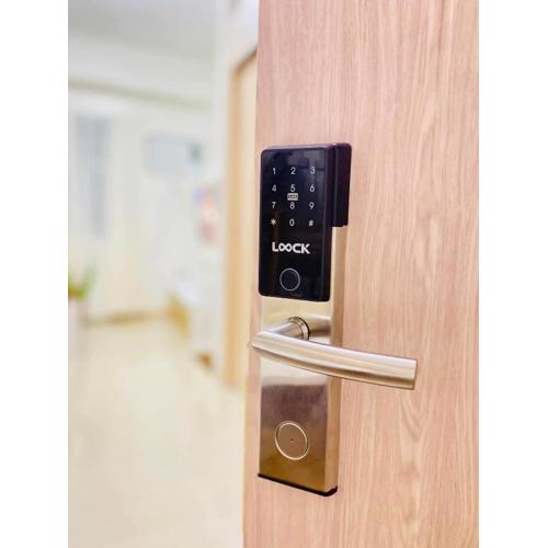 Staycation by Mailine