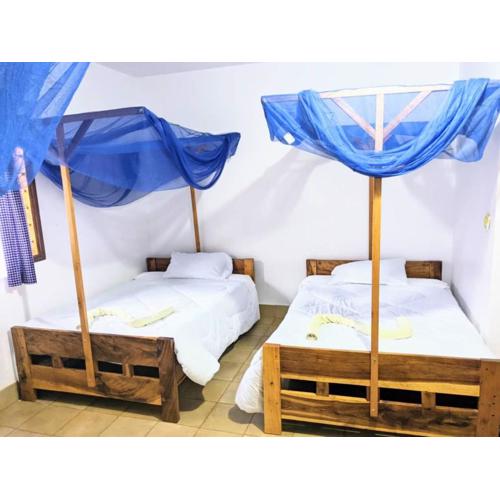 STC Domus Aurea Safaris