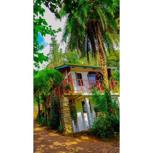 Steven and Dayness homestay