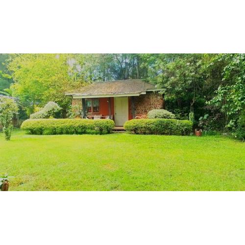 Steve's cottage-homely